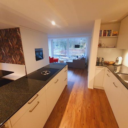 Neue Wohnung An Stadtrand Mit Parkplatz Ebikon Esterno foto