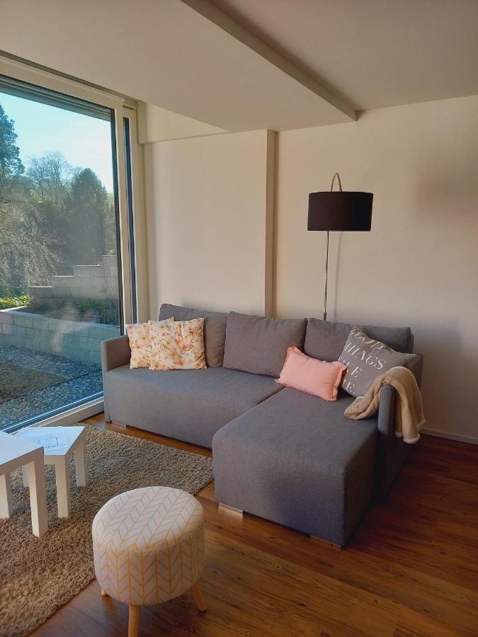 Neue Wohnung An Stadtrand Mit Parkplatz Ebikon Esterno foto