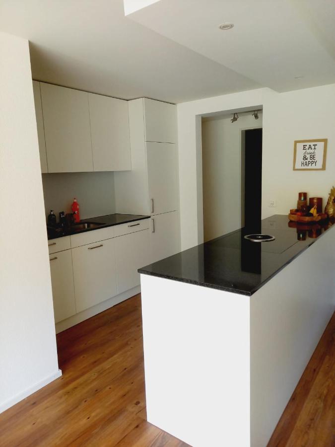 Neue Wohnung An Stadtrand Mit Parkplatz Ebikon Esterno foto